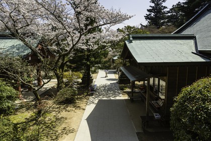 negoroji_temple-82_shikoku_japon_09-04_2014-1106.jpg