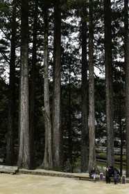 koyasan_japon_jl_1dx_16-04-2014-5117.jpg