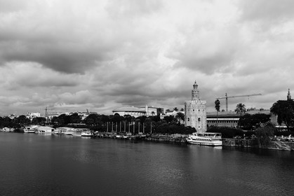 sevilla_19-01-2010-8153.jpg