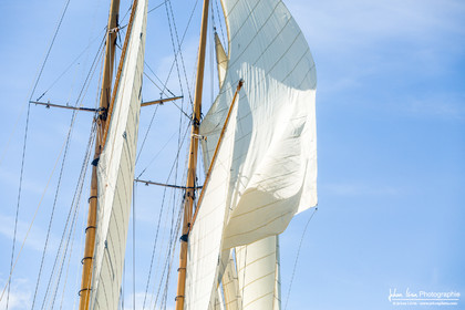 Les Dames de St Tropez