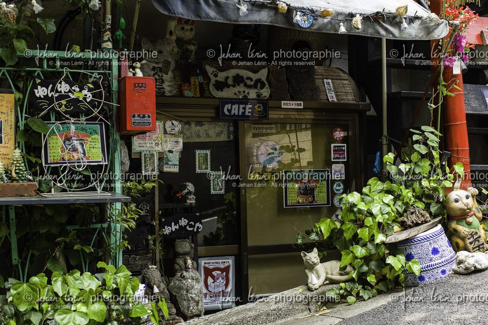 yanaka_ueno_tokyo_japon_jl_1dx_07-05-2014-6375.jpg