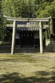 kokubunji_temple-80_shikoku_japon_08-04_2014-4410.jpg