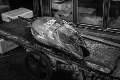 tsukiji-fish-market_tokyo_japon_jl_1dx_08-05-2014-6583-2.jpg