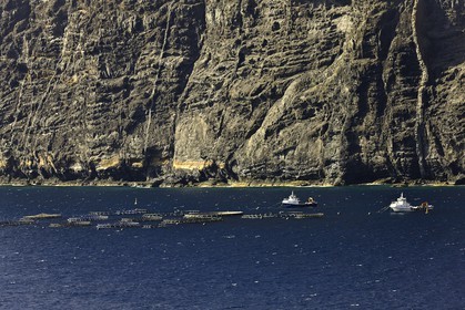 tenerife_avril_2010-0879.jpg