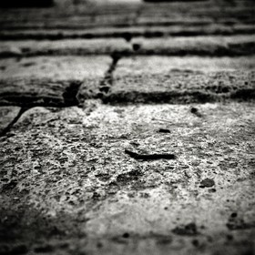 valencia_turia-steps_.jpg