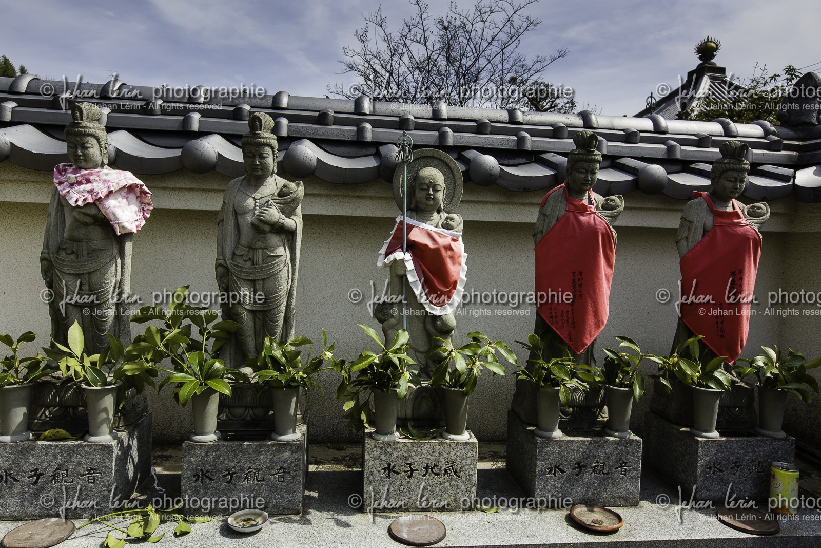 taisanji_temple-56_shikoku_japon_01-04_2014-0906.jpg