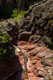 trek-loueve-dome-du-barrot-amen-loueve_alpes-maritimes_1dx_06-05-2016-2766.jpg