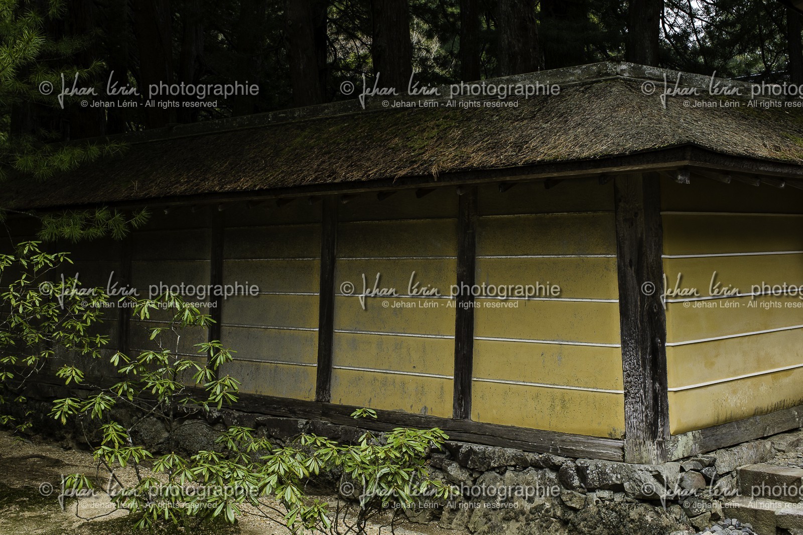 koyasan_japon_jl_1dx_16-04-2014-5086.jpg