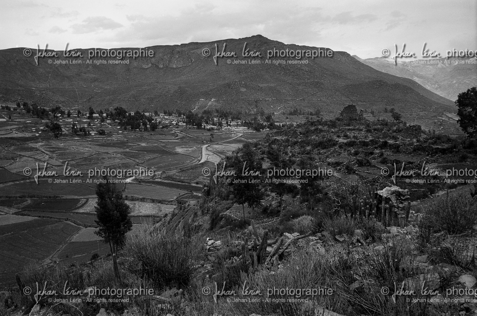 on-the-way_canyon-de-colca_perou_octobre-2003-12.jpg