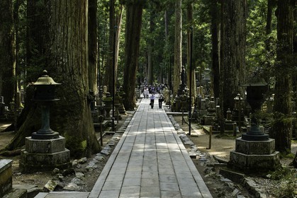 koyasan_japon_jl_1dx_17-04-2014-5300.jpg