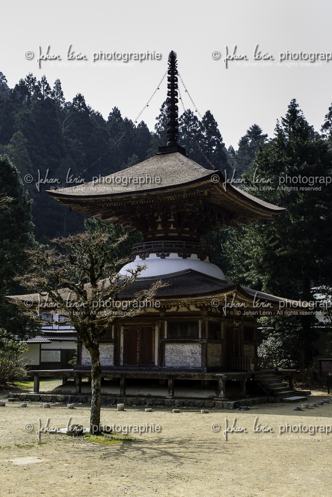 koyasan_japon_jl_1dx_17-04-2014-5182.jpg