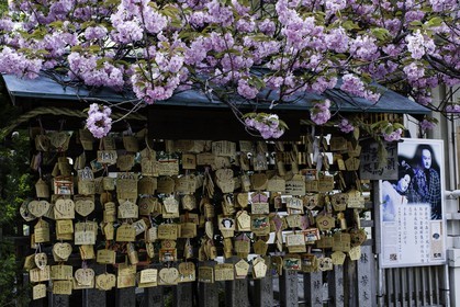 ohatsu-tenjin-sanctuary_osaka_japon_jl_1dx_14-04-2014-4799.jpg