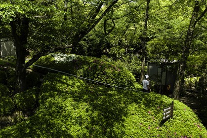 shiba-koen_tokyo_japon_jl_5d3_04-05-2014-1564.jpg