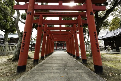 nankobo_temple-55_shikoku_japon_31-03_2014-0894.jpg