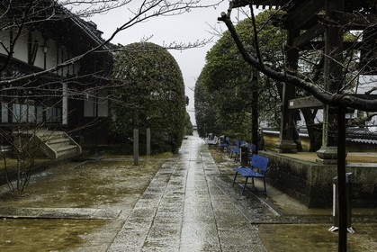 yakuoji_temple-23_shikoku_japon_13-03_2014-2437.jpg