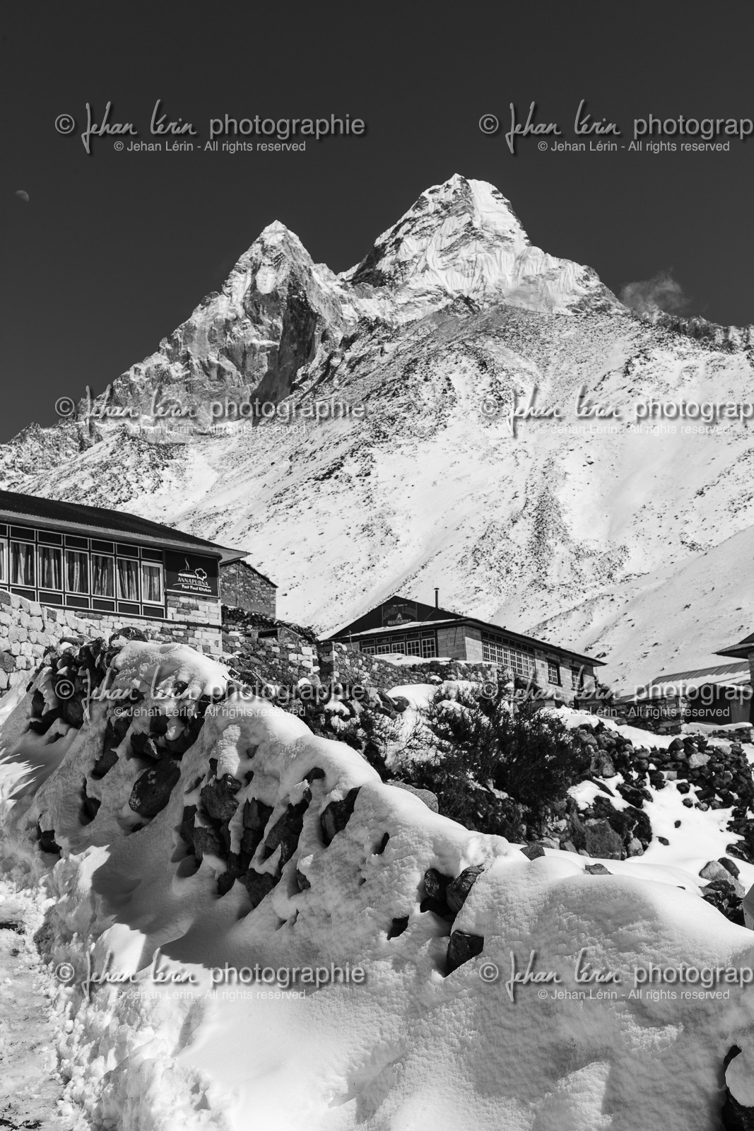 nepal_rolwaling-and-khumbu-area_orsho_18-02-2013-36928.jpg