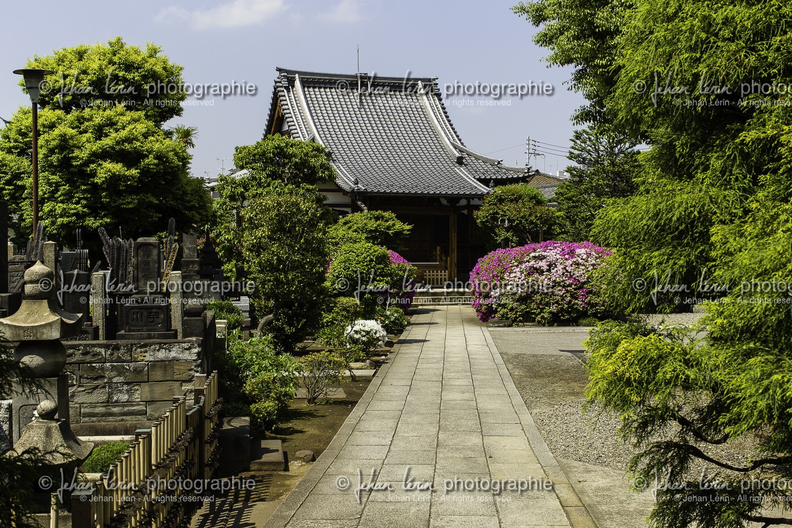 yanaka_ueno_tokyo_japon_jl_1dx_07-05-2014-6427.jpg