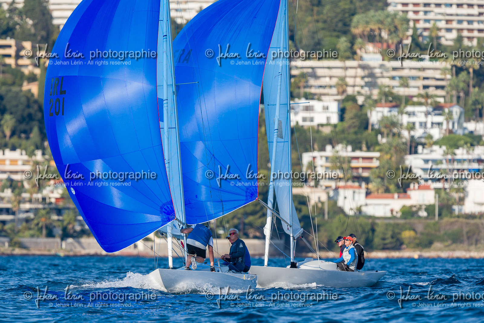 Armistice Cup Dragon 2022