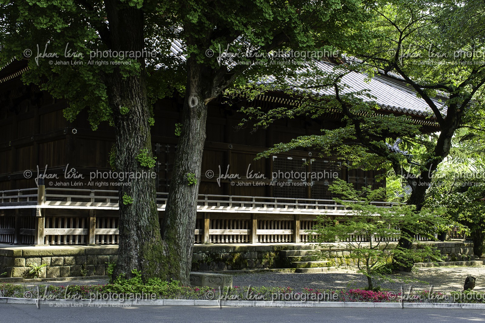 yanaka_ueno_tokyo_japon_jl_1dx_07-05-2014-6445.jpg