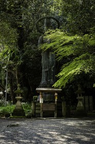 iyadaniji_temple-71_shikoku_japon_06-04_2014-4003.jpg