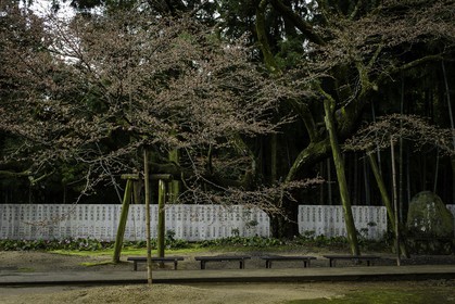 sankakuji_temple-65_shikoku_japon_04-04_2014-3809.jpg