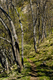trek-loueve-dome-du-barrot-amen-loueve_alpes-maritimes_1dx_06-05-2016-2753.jpg