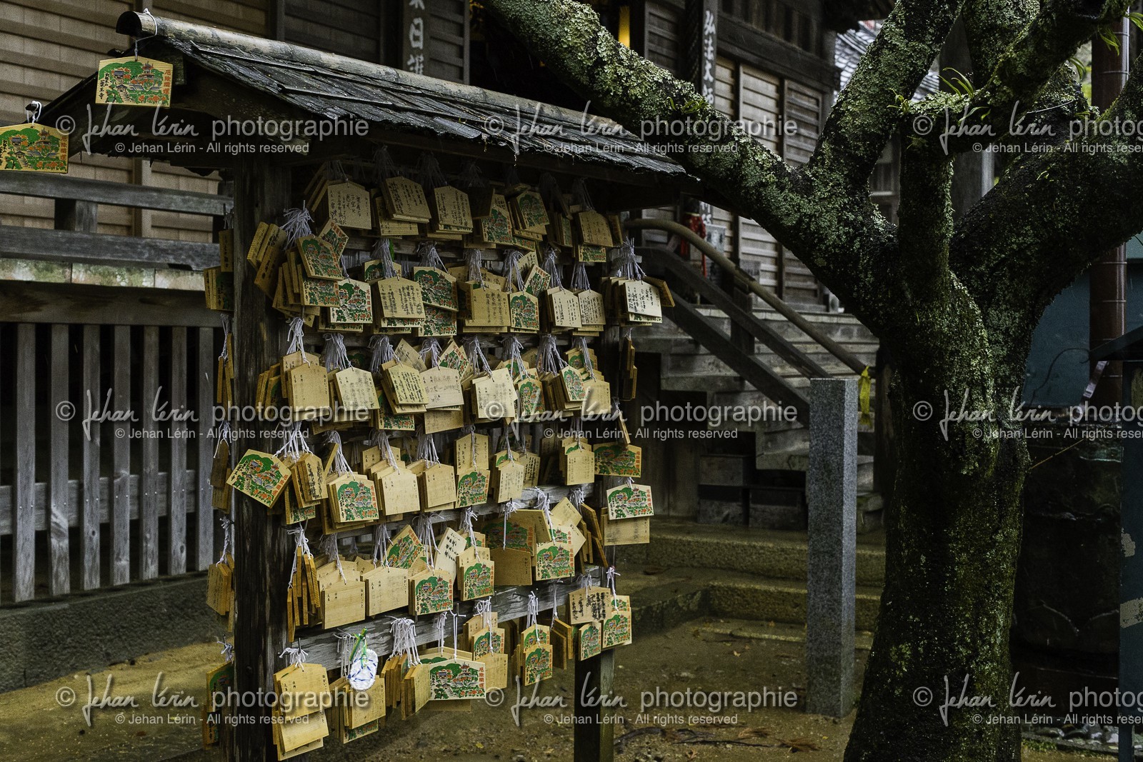 yakuoji_temple-23_shikoku_japon_13-03_2014-2449.jpg