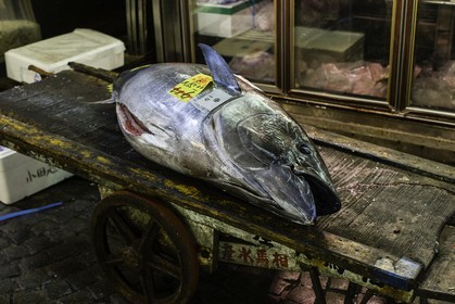 tsukiji-fish-market_tokyo_japon_jl_1dx_08-05-2014-6583.jpg