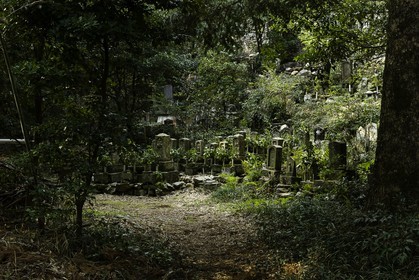 onzanji_temple-18_shikoku_japon_09-03_2014-2171.jpg