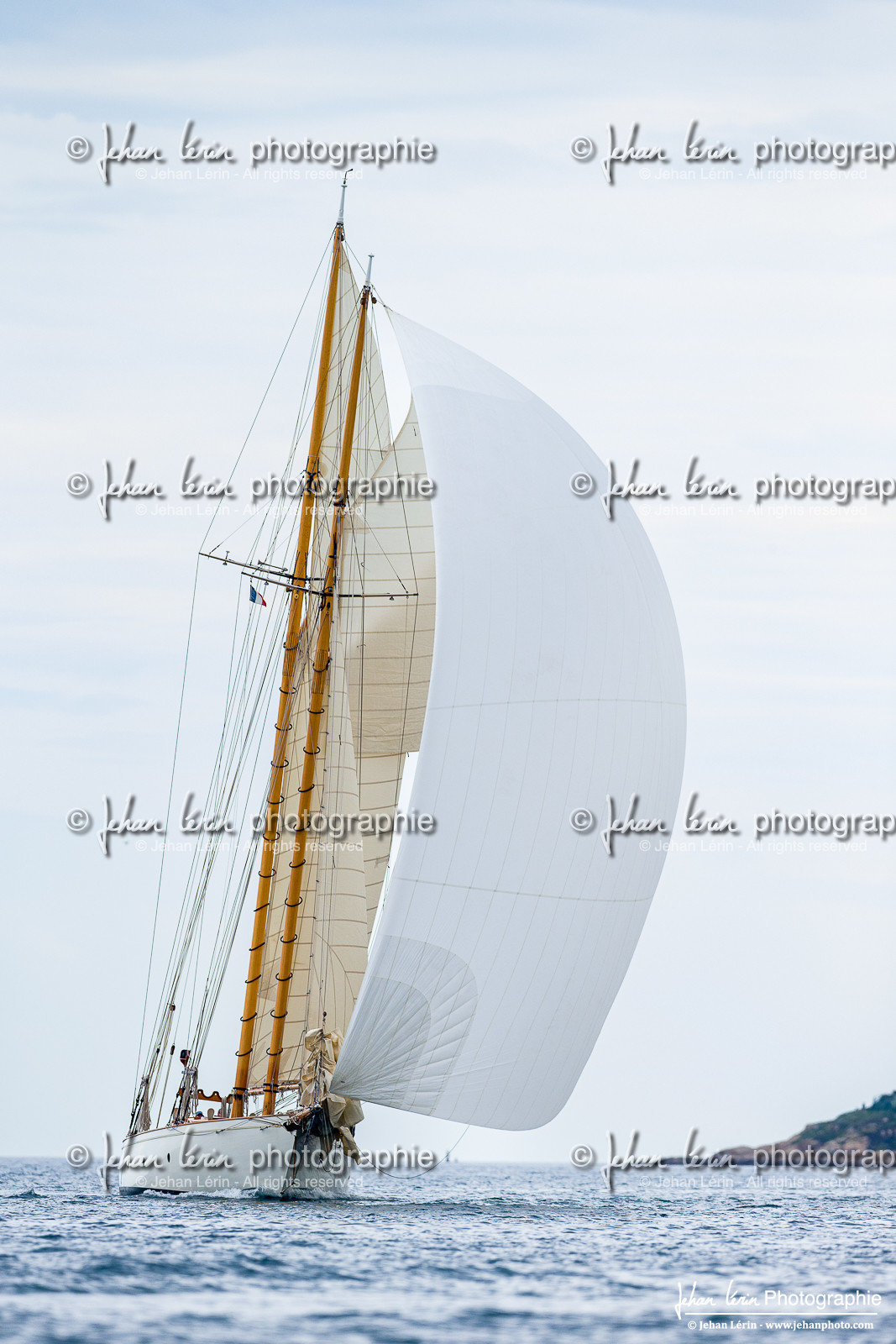 Les Dames de St Tropez