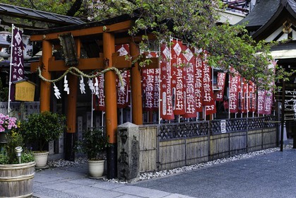 ohatsu-tenjin-sanctuary_osaka_japon_jl_1dx_14-04-2014-4796.jpg