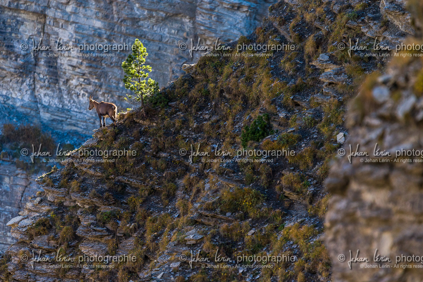 parc-re-gional-du-vercors_chichilianne_jl_1dx_25-10-2021-0046.jpg