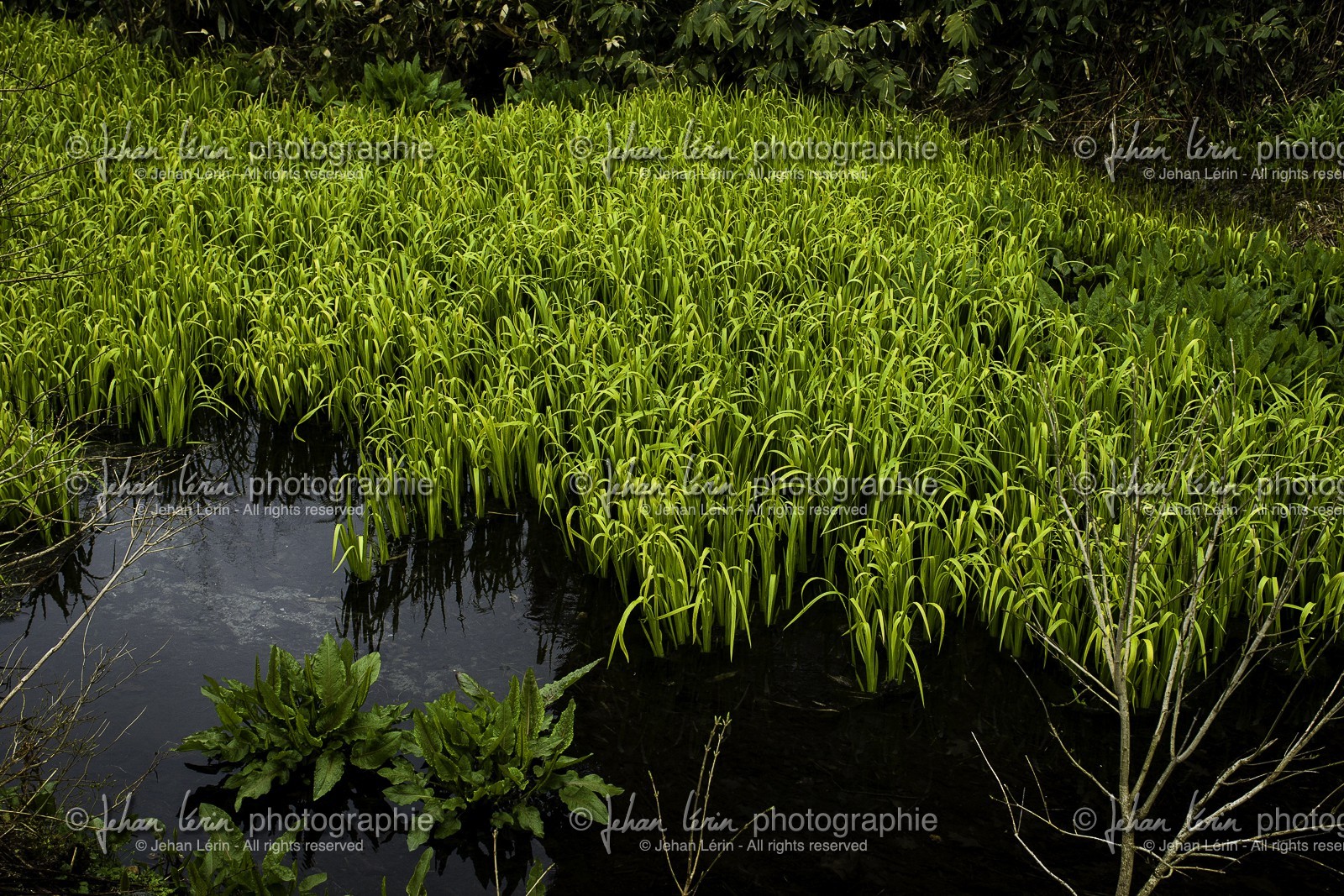 kamikochi_japon_jl_1dx_01-05-2014-5985.jpg