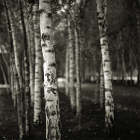 london_october-2012_9.jpg