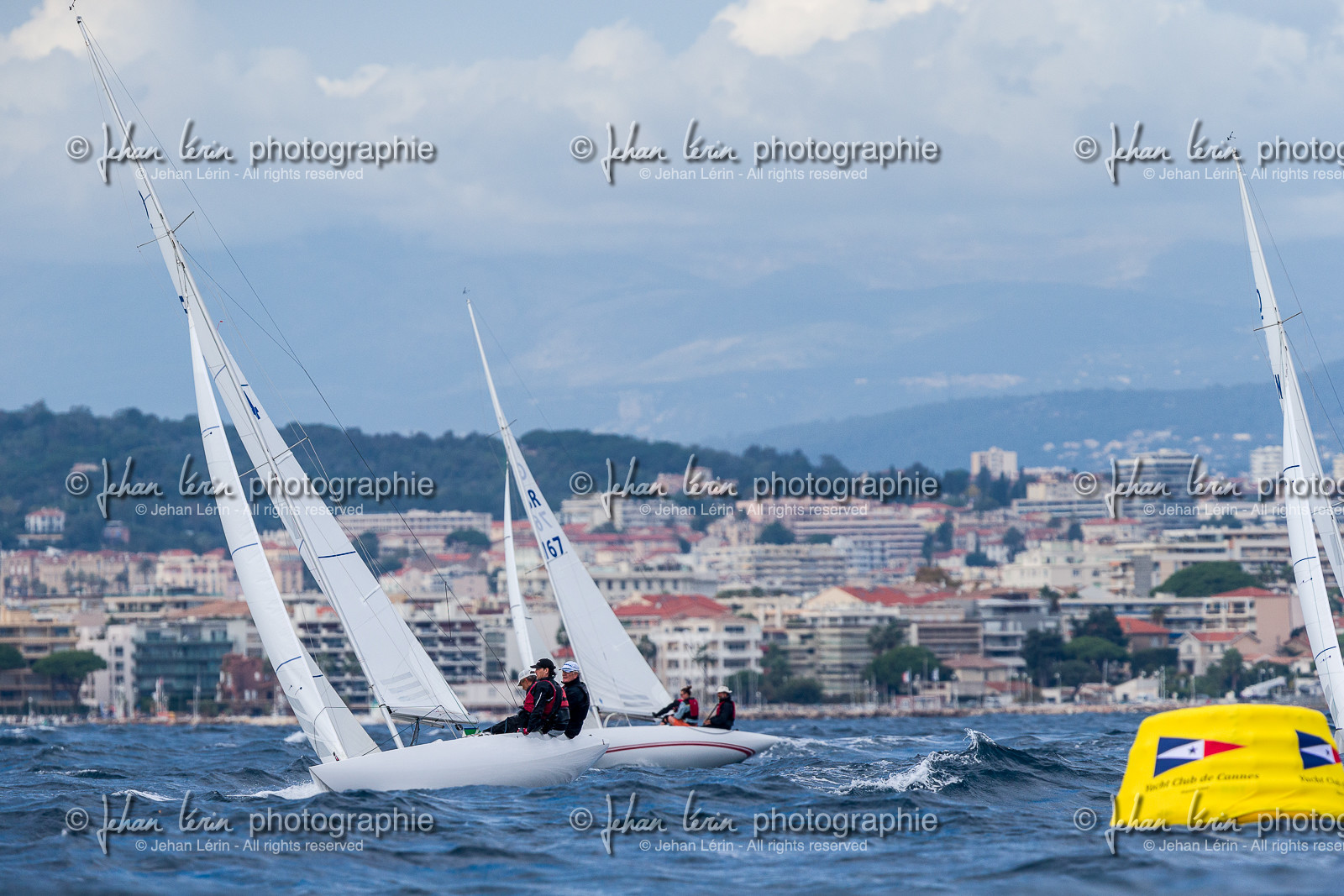 Armistice Cup Dragon 2022