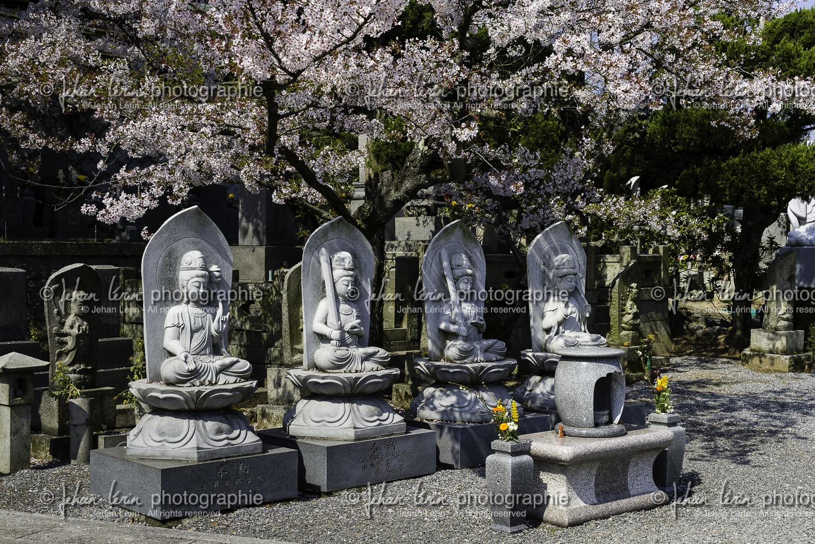 goshoji_temple-78_shikoku_japon_08-04_2014-4333.jpg