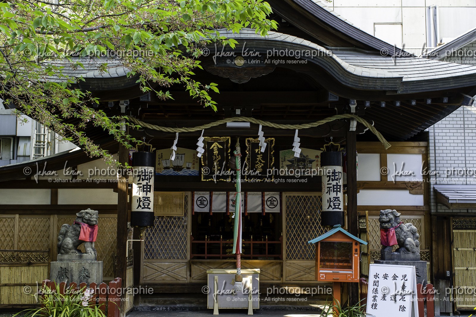 ohatsu-tenjin-sanctuary_osaka_japon_jl_1dx_14-04-2014-4811.jpg
