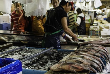 tsukiji-fish-market_tokyo_japon_jl_1dx_08-05-2014-6578.jpg