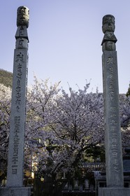 shusshakaji_temple-73_shikoku_japon_06-04_2014-4076.jpg