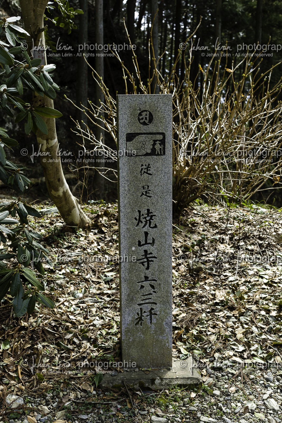 en-route-vers-le-temple-12_shikoku_japon_07-03_2014-1971.jpg