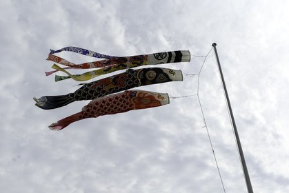 tanabe_kansai_japon_19-04-2014-5427.jpg