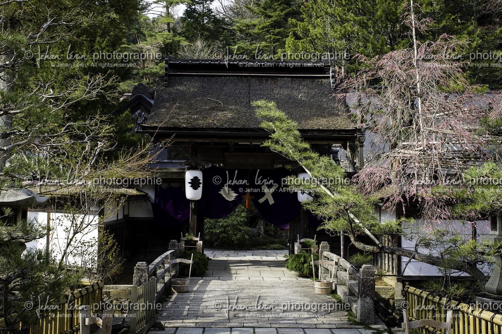 koyasan_japon_jl_1dx_17-04-2014-5364.jpg
