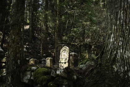 koyasan_japon_jl_1dx_17-04-2014-5243.jpg