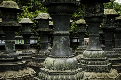 ueno_tokyo_japon_jl_1dx_05-05-2014-6261.jpg