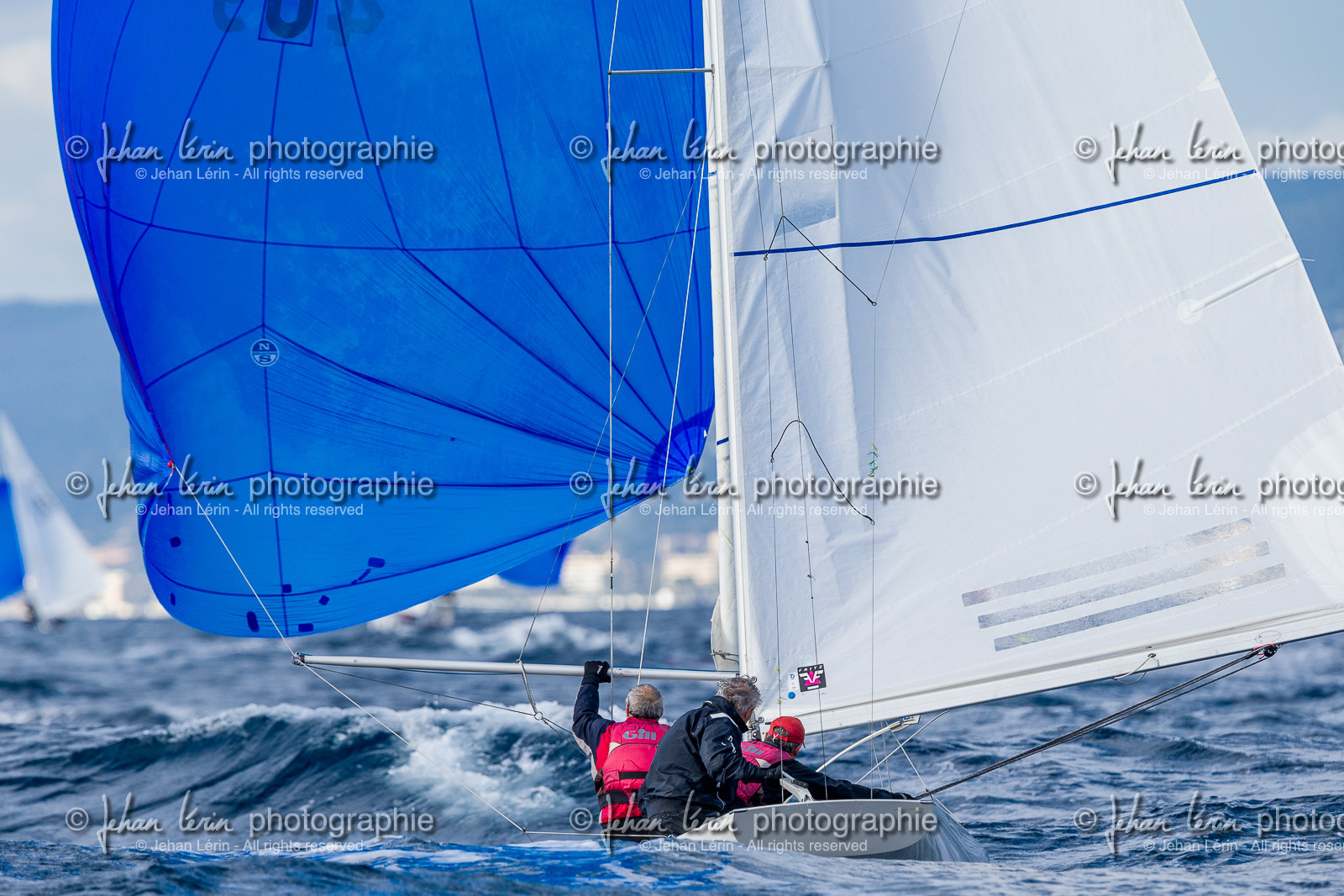 Armistice Cup Dragon 2022