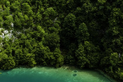 parc-de-plitvice_croatie_24-07-2014-1303.jpg