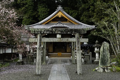 hantaji_temple-50_shikoku_japon_30-03_2014-3456.jpg