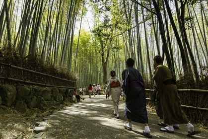 bambouseraie_arashiyama_kyoto_japon_jl_5d3_10-05-2014-1681.jpg