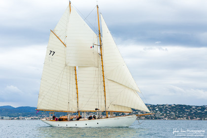 Les Dames de St Tropez
