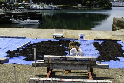 katsuura_kansai_japon_26-04-2014-5744.jpg
